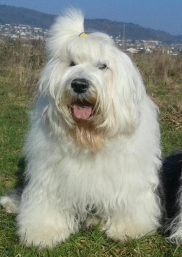 Ruby mit 12,5 Jahren 