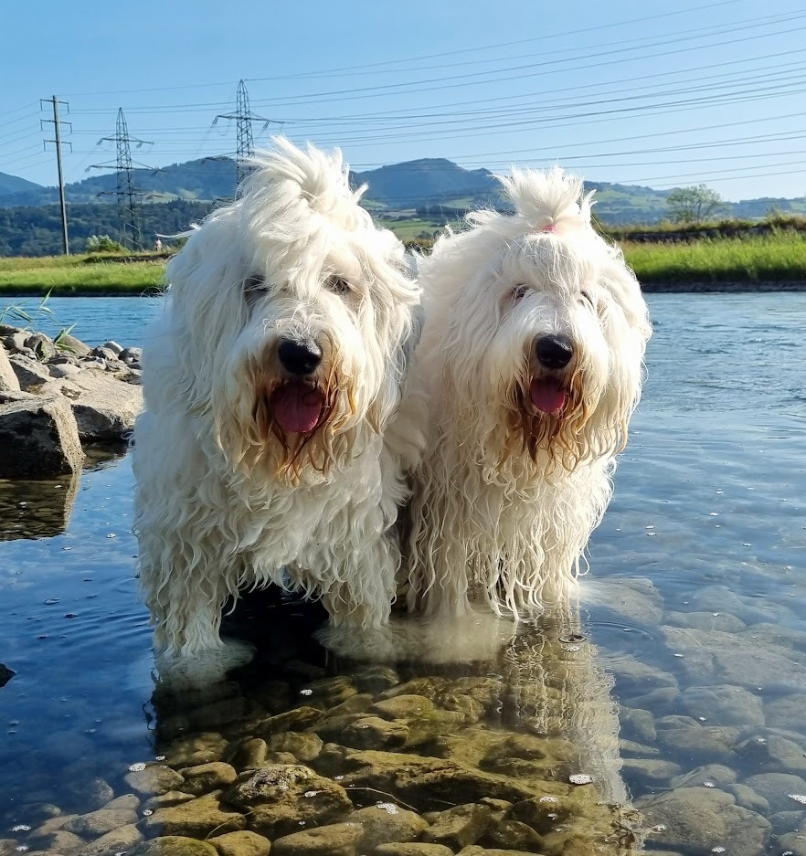 Selini und Pheebee (Mutter und Tochter)